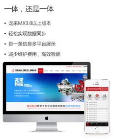 中小型企業(yè)網(wǎng)站建設與盈利能力案例分析